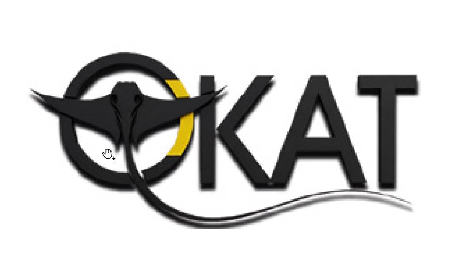 INDUSTRIAL EQUIPMENT FACTORY SKAT LLC